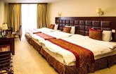Hotel Velvet
