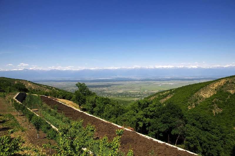Alazani Valley in Kakheti