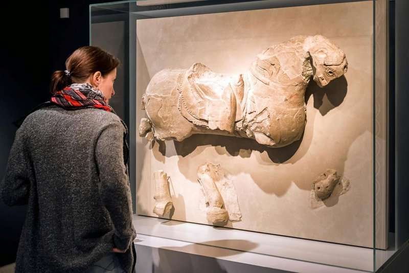 visitor-looking-on-ancient-exhibit-at-museum.max-800x600