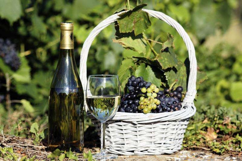 white wine grapes