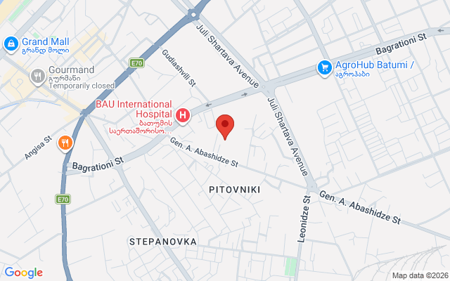Location map